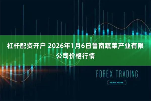 杠杆配资开户 2026年1月6日鲁南蔬菜产业有限公司价格行情
